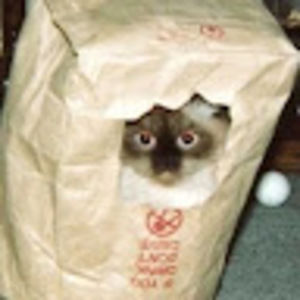 Meet your Posher, Kyle